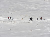 X2019-01-14 1020 Go!.jpg